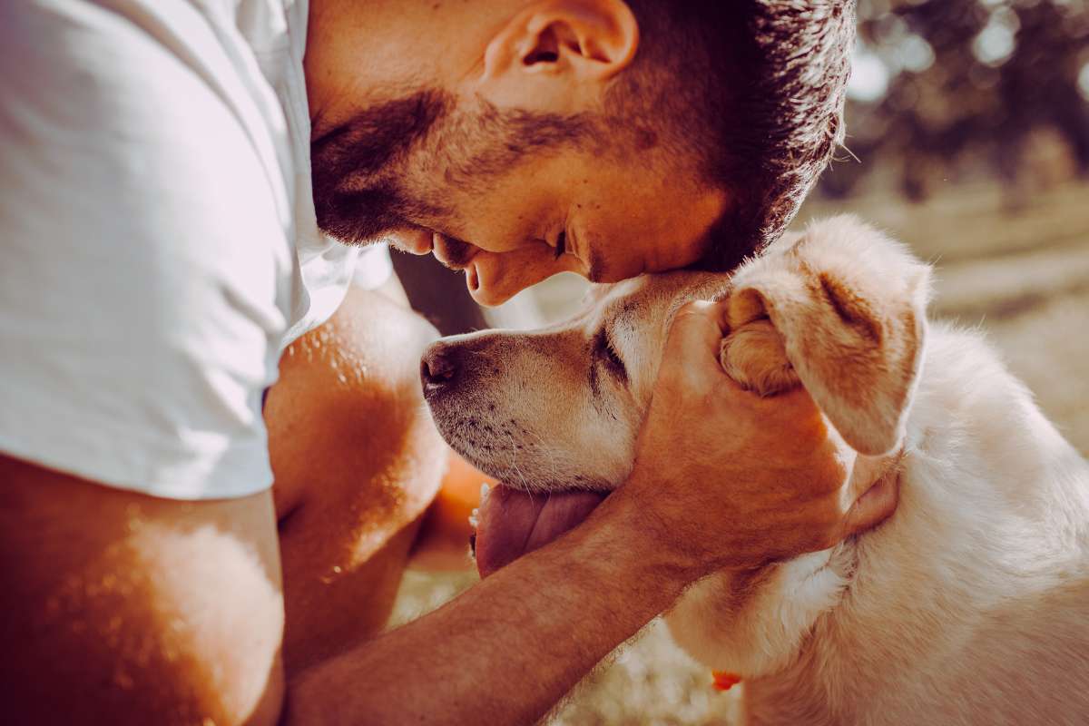 Cane e padrone